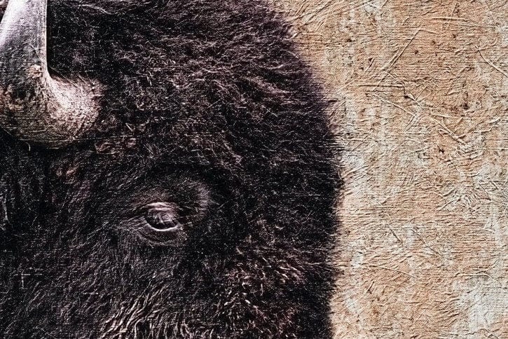 Western Decor Bison Painting Wall Art Teri James Photography