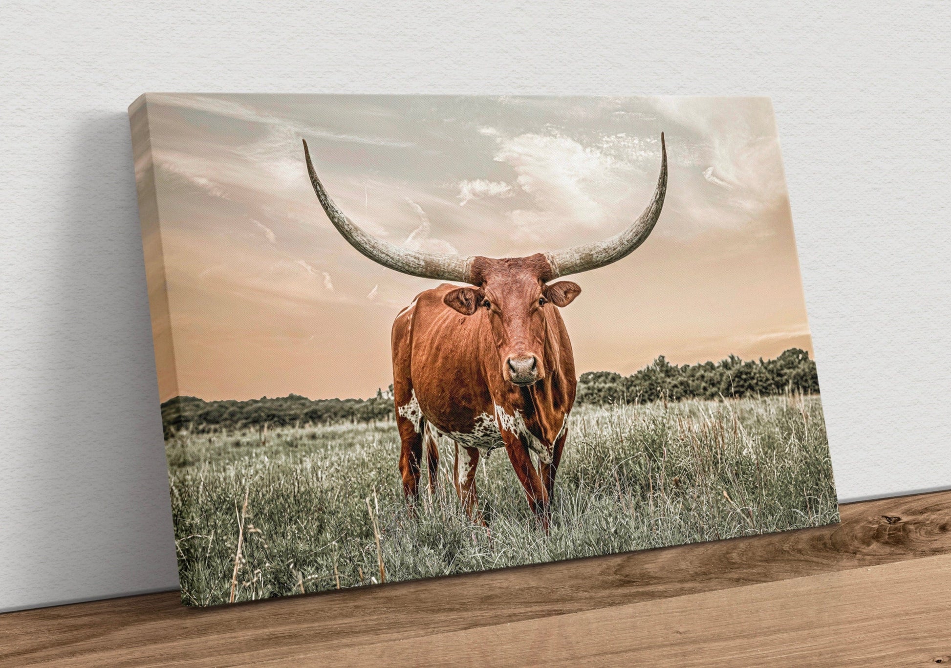 Western Decor Texas Longhorn Canvas Art in Southwest Colors Canvas-Unframed / 12 x 18 Inches Wall Art Teri James Photography