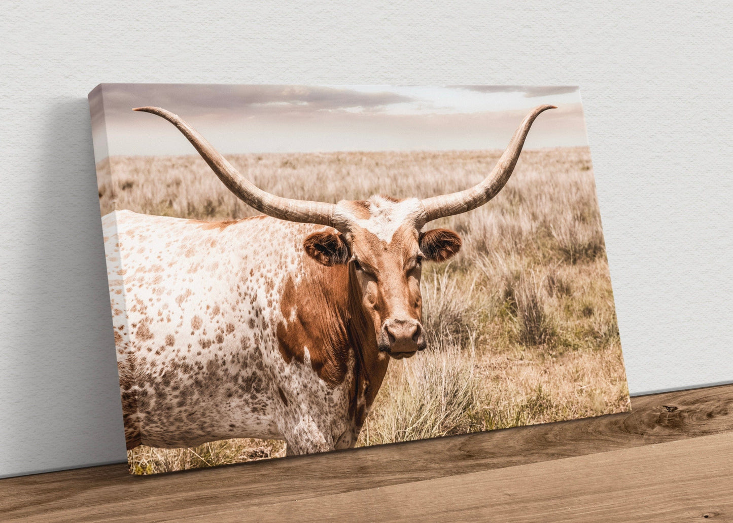 Western Decor Texas Longhorn Canvas Art Canvas-Unframed / 12 x 18 Inches Wall Art Teri James Photography