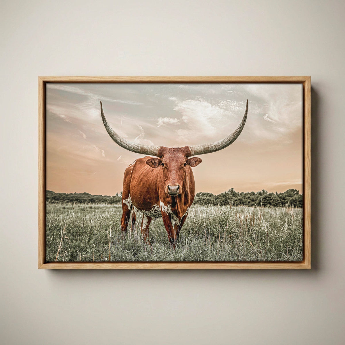 Western Decor Texas Longhorn Canvas in Southwest Colors Canvas-Natural Oak Float Frame / 12 x 18 Inches