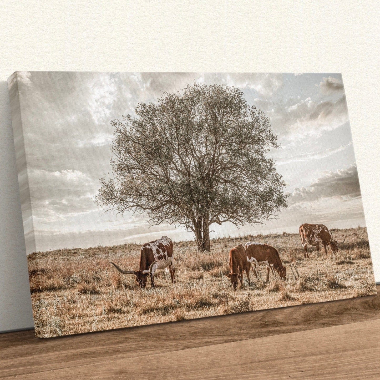 Western Landscape Art - Flint Hills Canvas-Unframed / 12 x 18 Inches Wall Art Teri James Photography