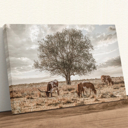 Western Landscape Art - Flint Hills Canvas-Unframed / 12 x 18 Inches Wall Art Teri James Photography