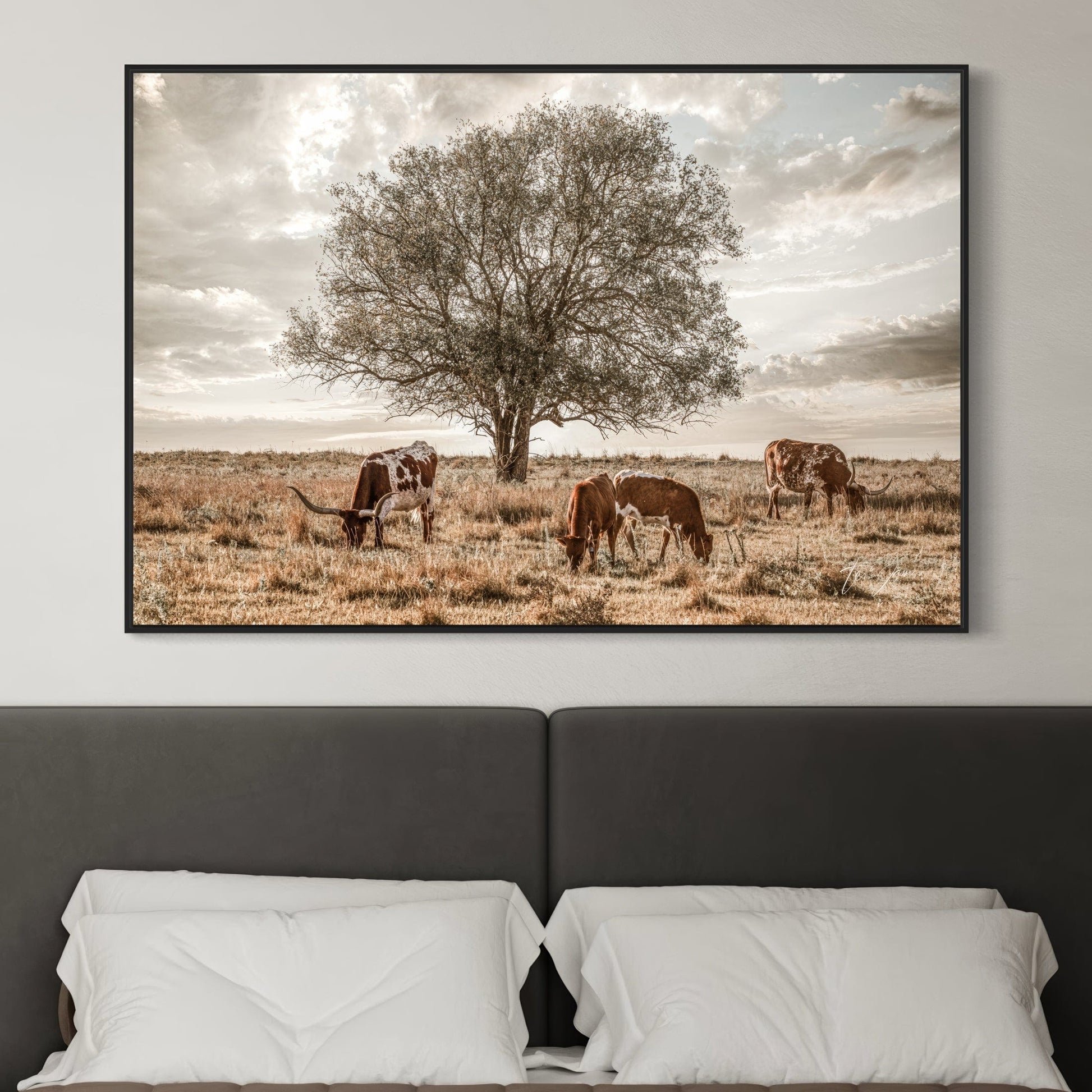 Western Landscape Art - Flint Hills Wall Art Teri James Photography