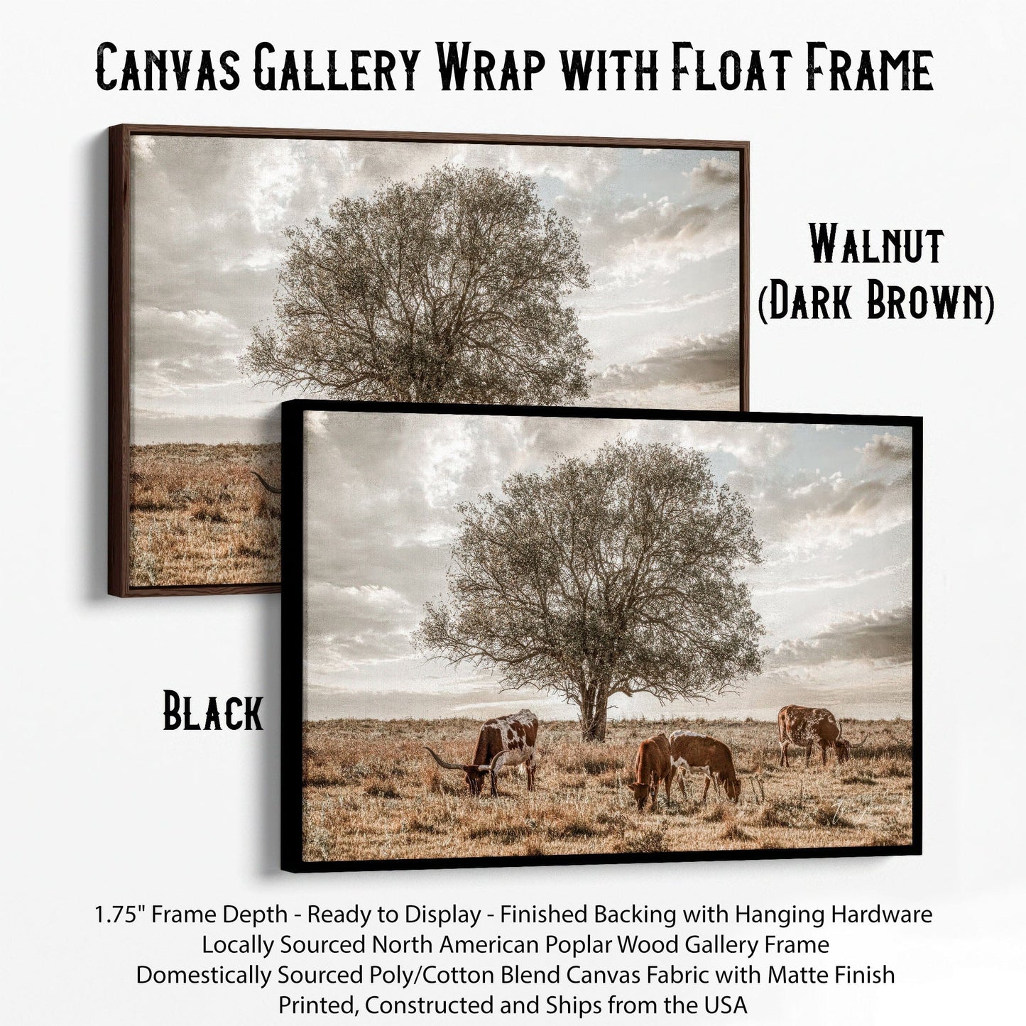 Western Landscape Art - Flint Hills Canvas-Black Frame / 12 x 18 Inches Wall Art Teri James Photography