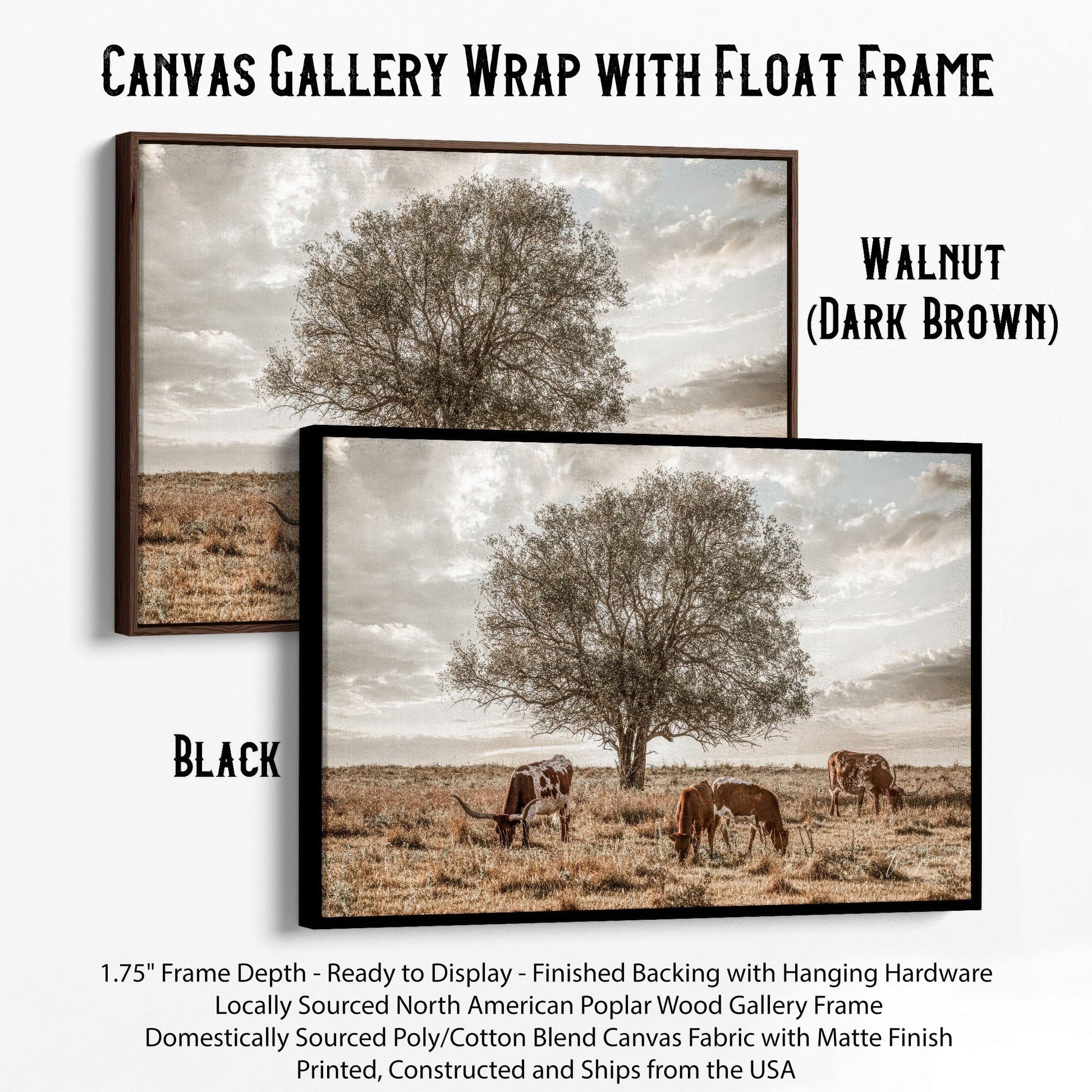 Western Landscape Art - Flint Hills Canvas-Black Frame / 12 x 18 Inches Wall Art Teri James Photography