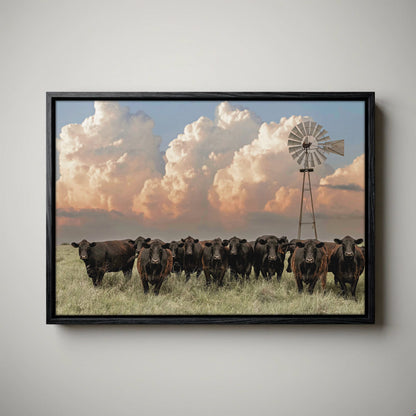 Western Landscape Art Print - Angus Cattle