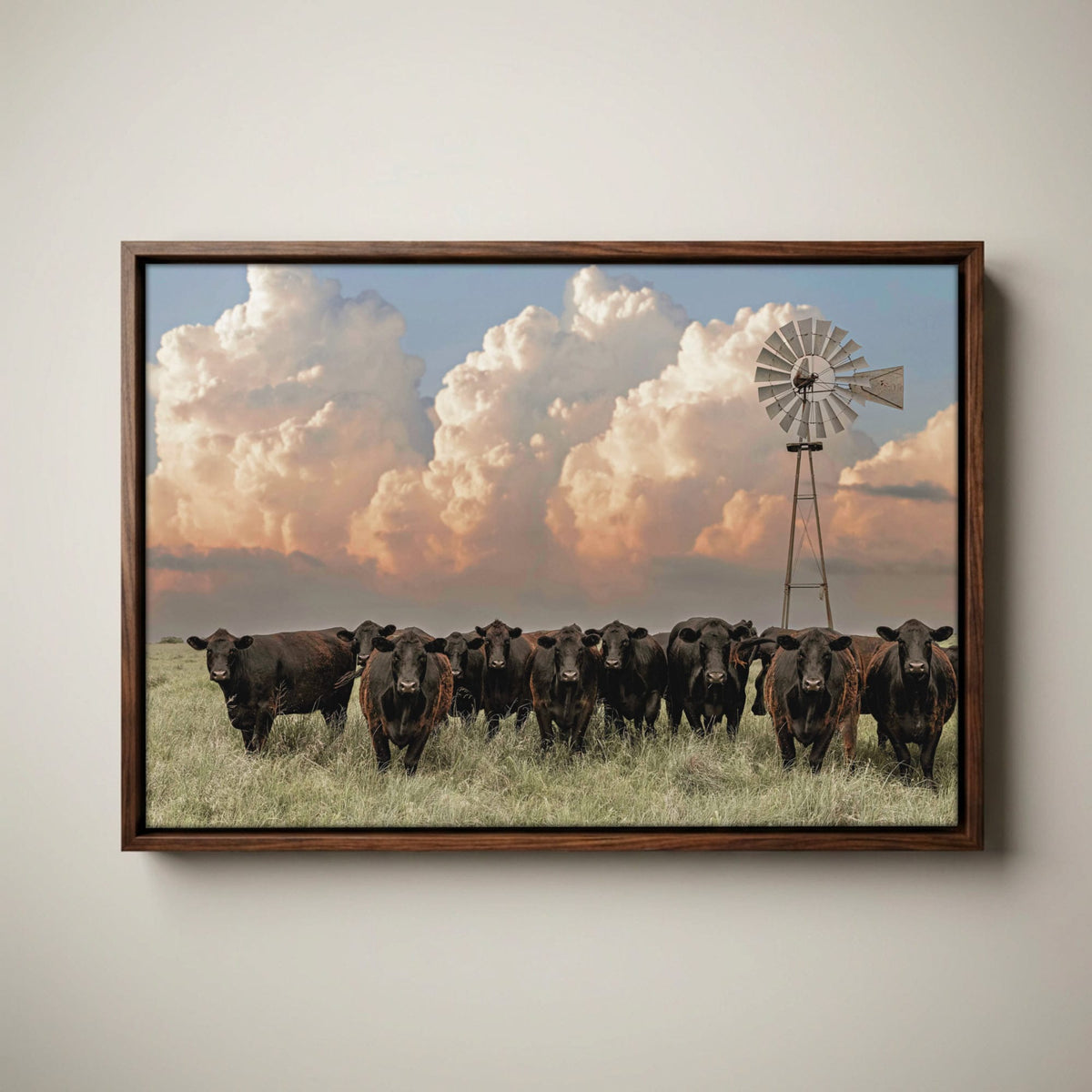 Western Landscape Art Print - Angus Cattle