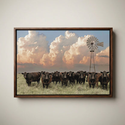 Western Landscape Art Print - Angus Cattle