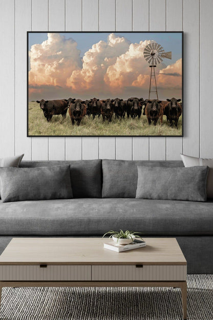 Western Landscape Art Print - Angus Cattle Wall Art Teri James Photography