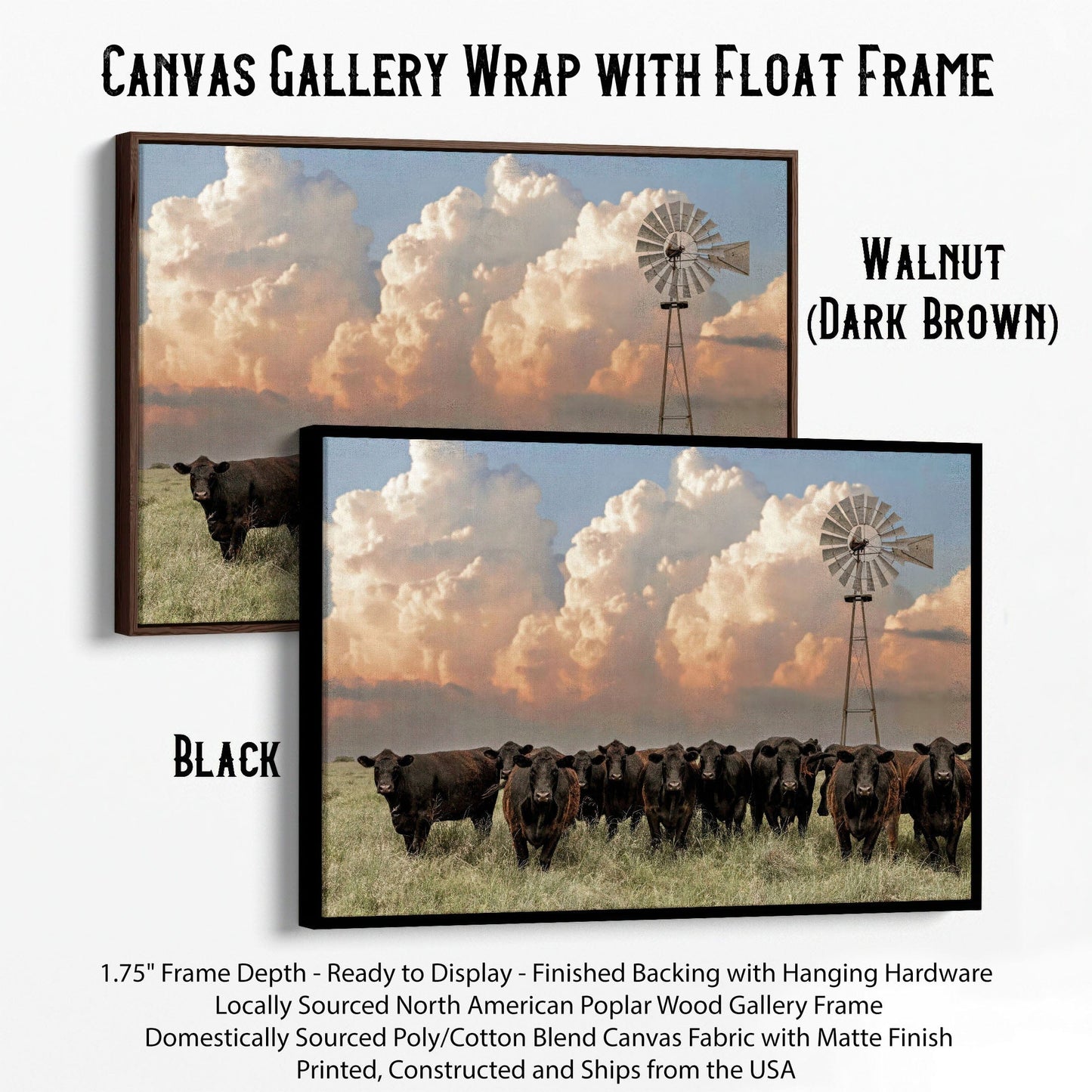 Western Landscape Art Print - Angus Cattle Canvas-Black Frame / 12 x 18 Inches Wall Art Teri James Photography
