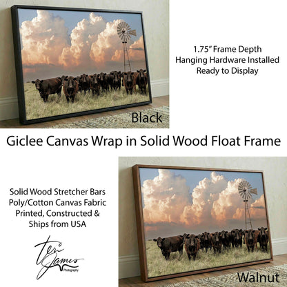 Western Landscape Art Print - Angus Cattle Canvas-Black Frame / 12 x 18 Inches Wall Art Teri James Photography