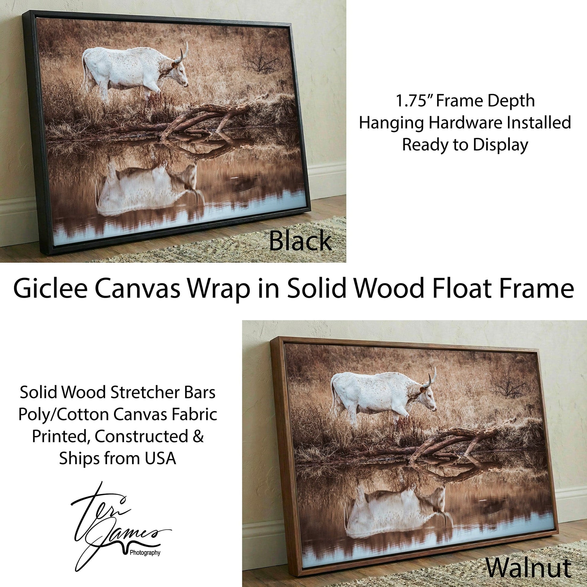 Western Living Room Decor - Longhorn Wall art Canvas-Black Frame / 12 x 18 Inches Wall Art Teri James Photography