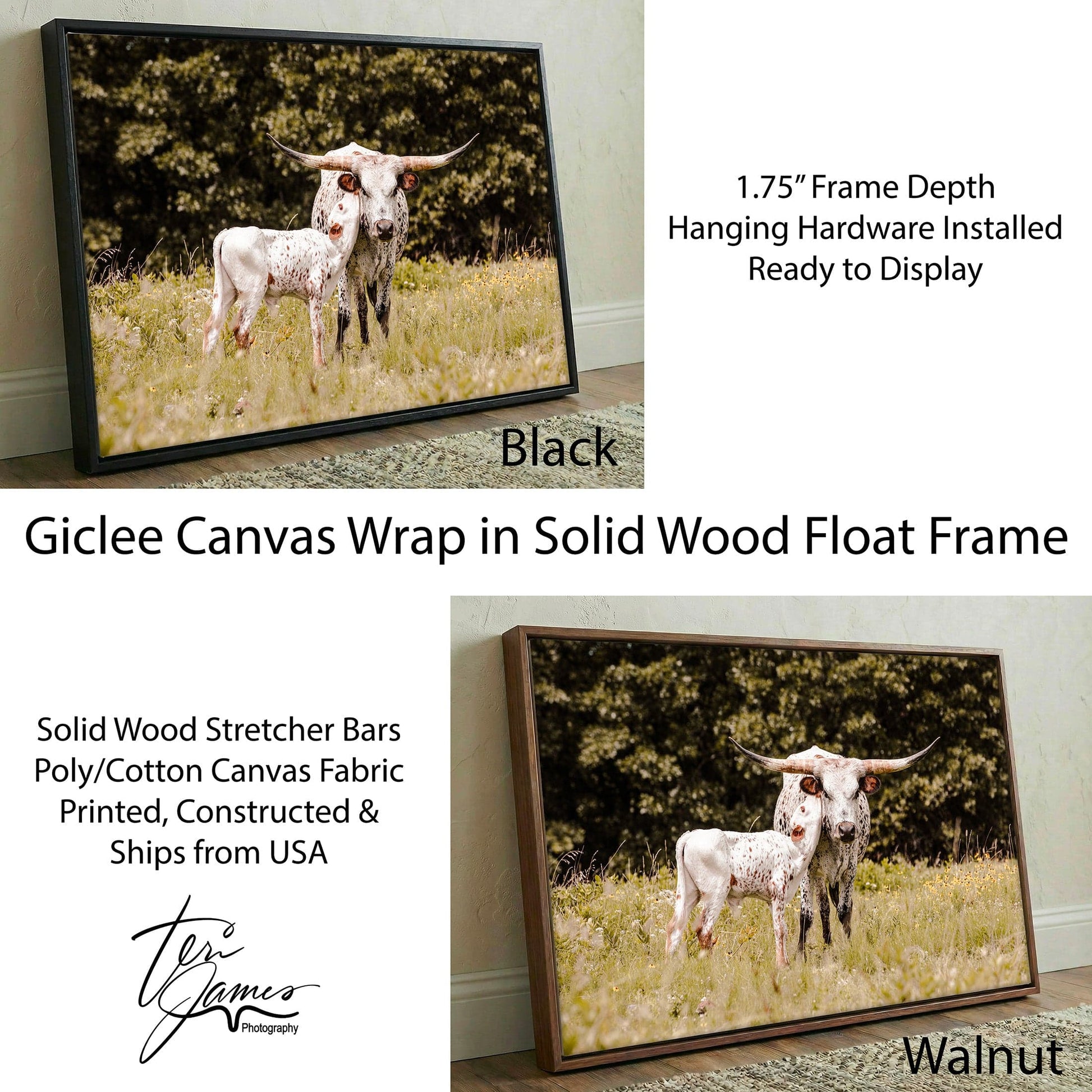 Western Nursery Decor - Texas Longhorn Canvas Canvas-Black Frame / 12 x 18 Inches Wall Art Teri James Photography
