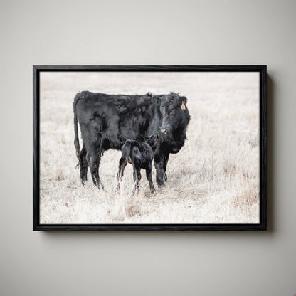 Western Nursery Wall Art - Black Angus Cow & Calf