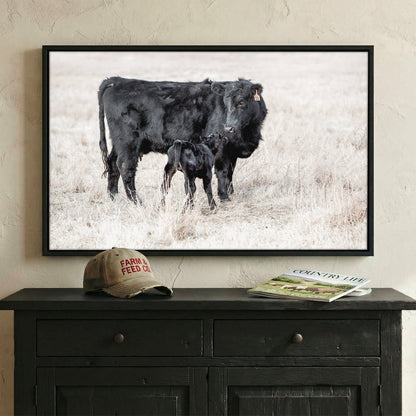 Western Nursery Wall Art - Black Angus Cow & Calf Wall Art Teri James Photography