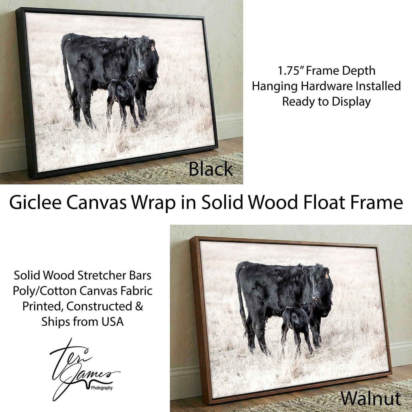 Western Nursery Wall Art - Black Angus Cow & Calf Canvas-Black Frame / 12 x 18 Inches Wall Art Teri James Photography