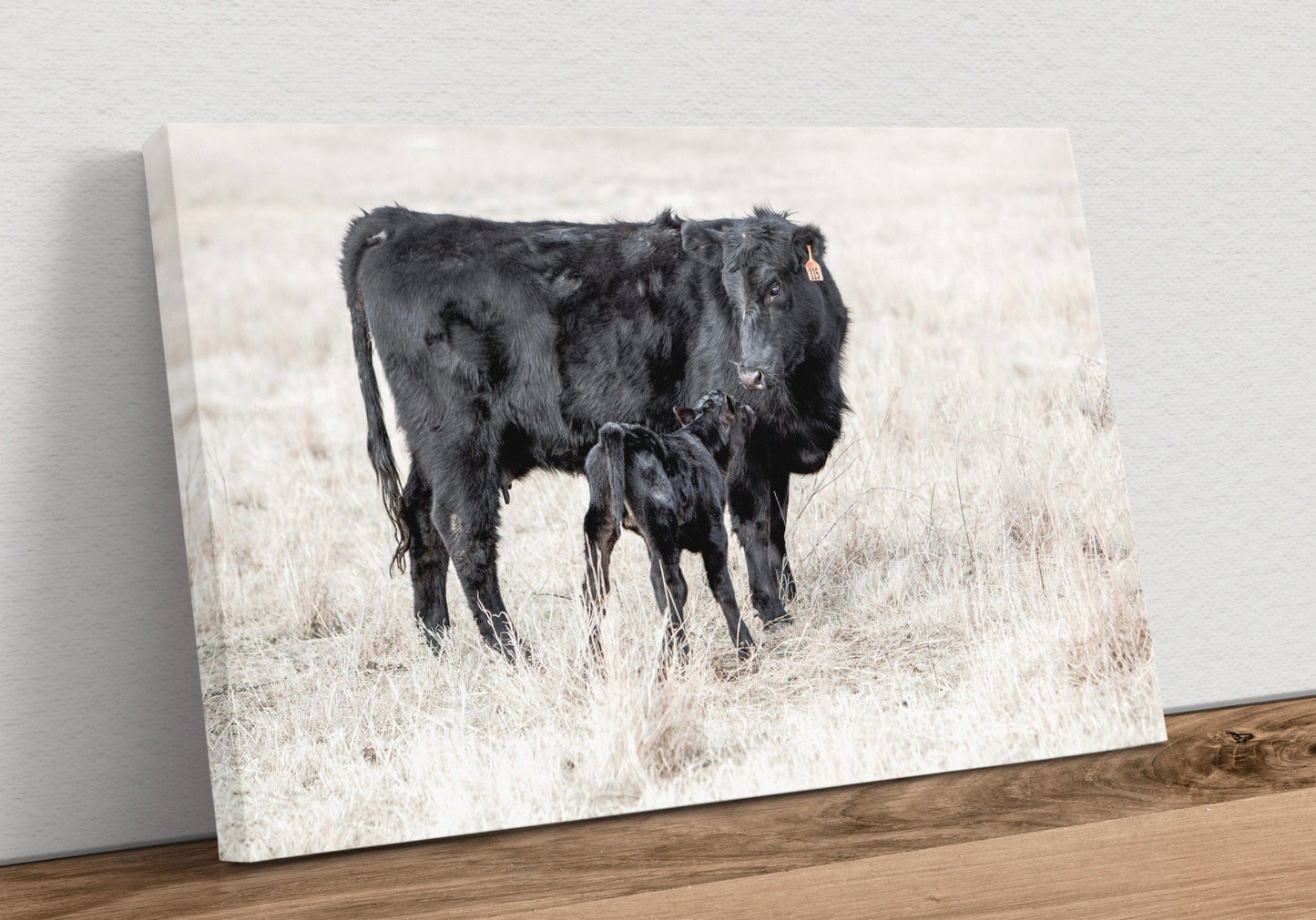 Western Nursery Wall Art - Black Angus Cow & Calf Canvas-Unframed / 12 x 18 Inches Wall Art Teri James Photography