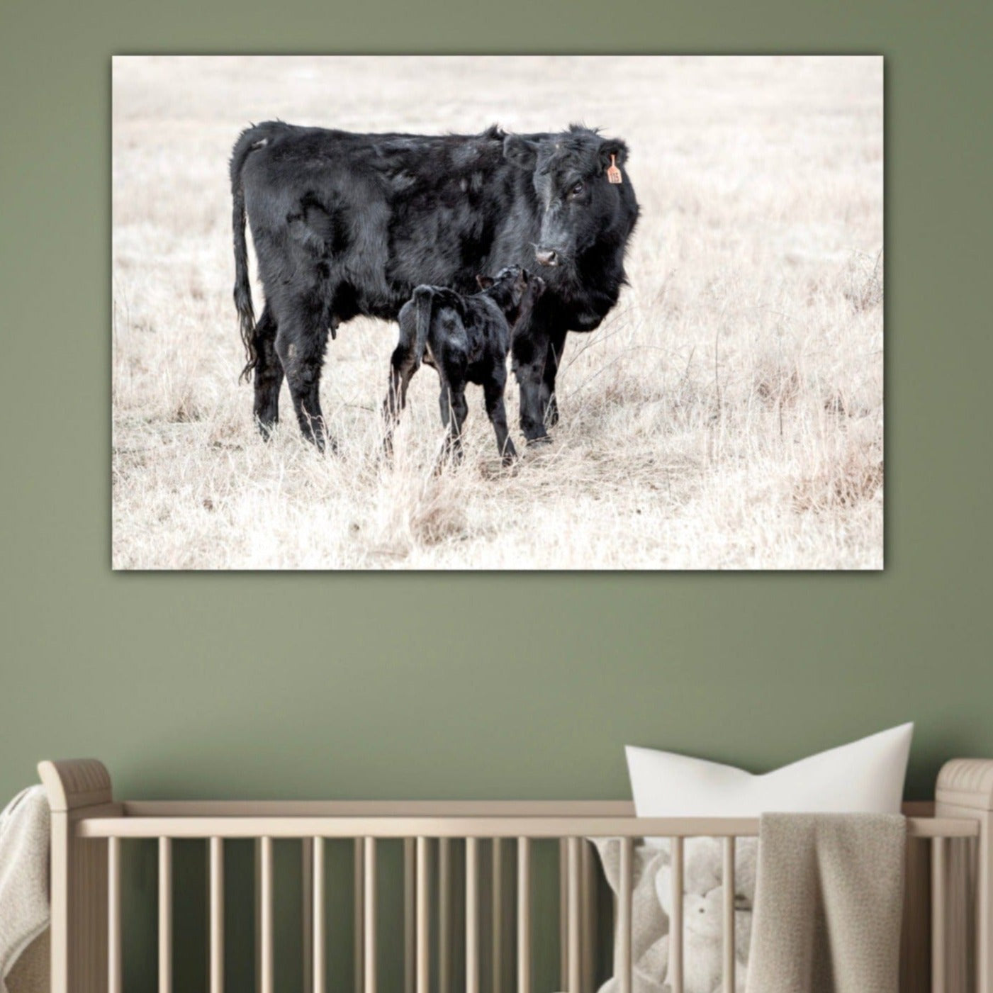 Western Nursery Wall Art - Black Angus Cow & Calf Wall Art Teri James Photography