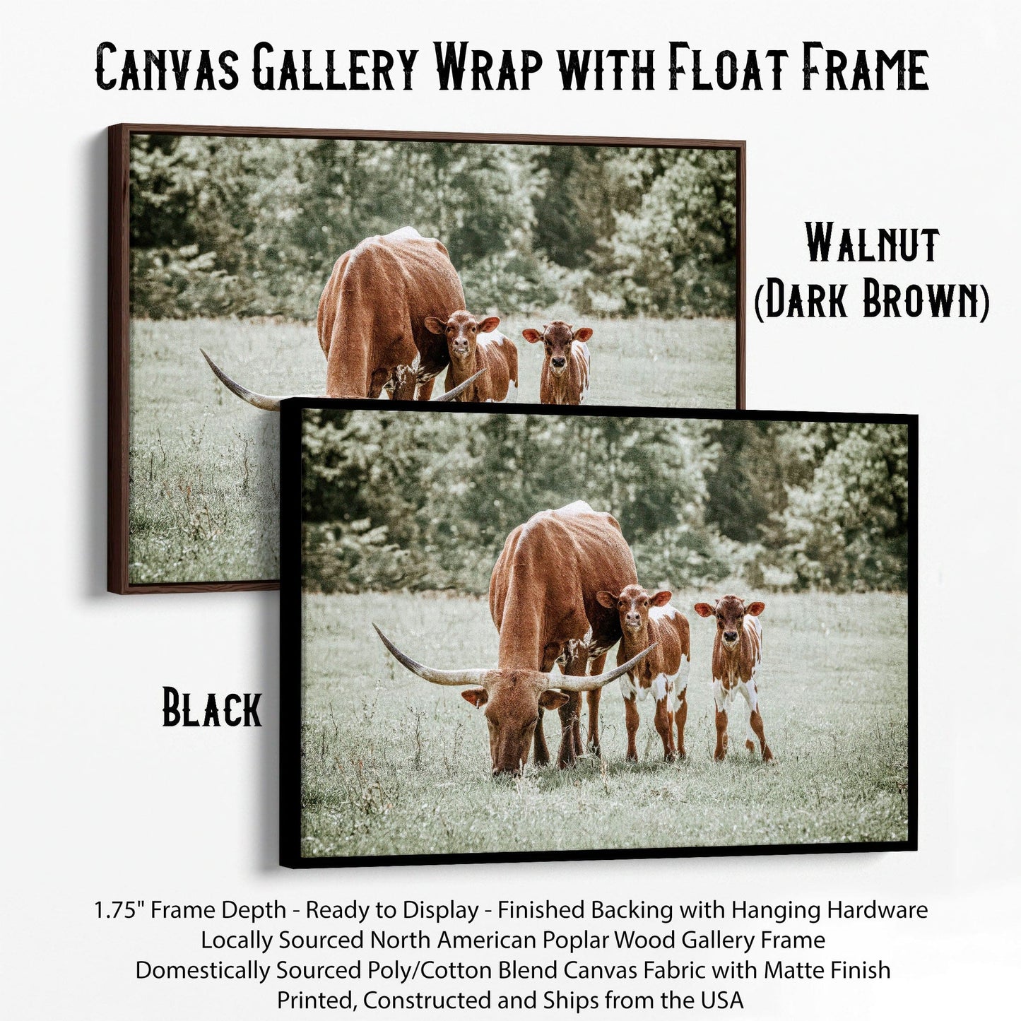 Western Nursery Wall Art for Twins Canvas-Black Frame / 12 x 18 Inches Wall Art Teri James Photography