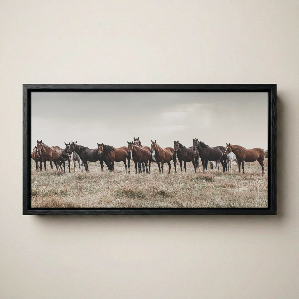 Western Panorama Canvas Print – Wild Horse Wall Art