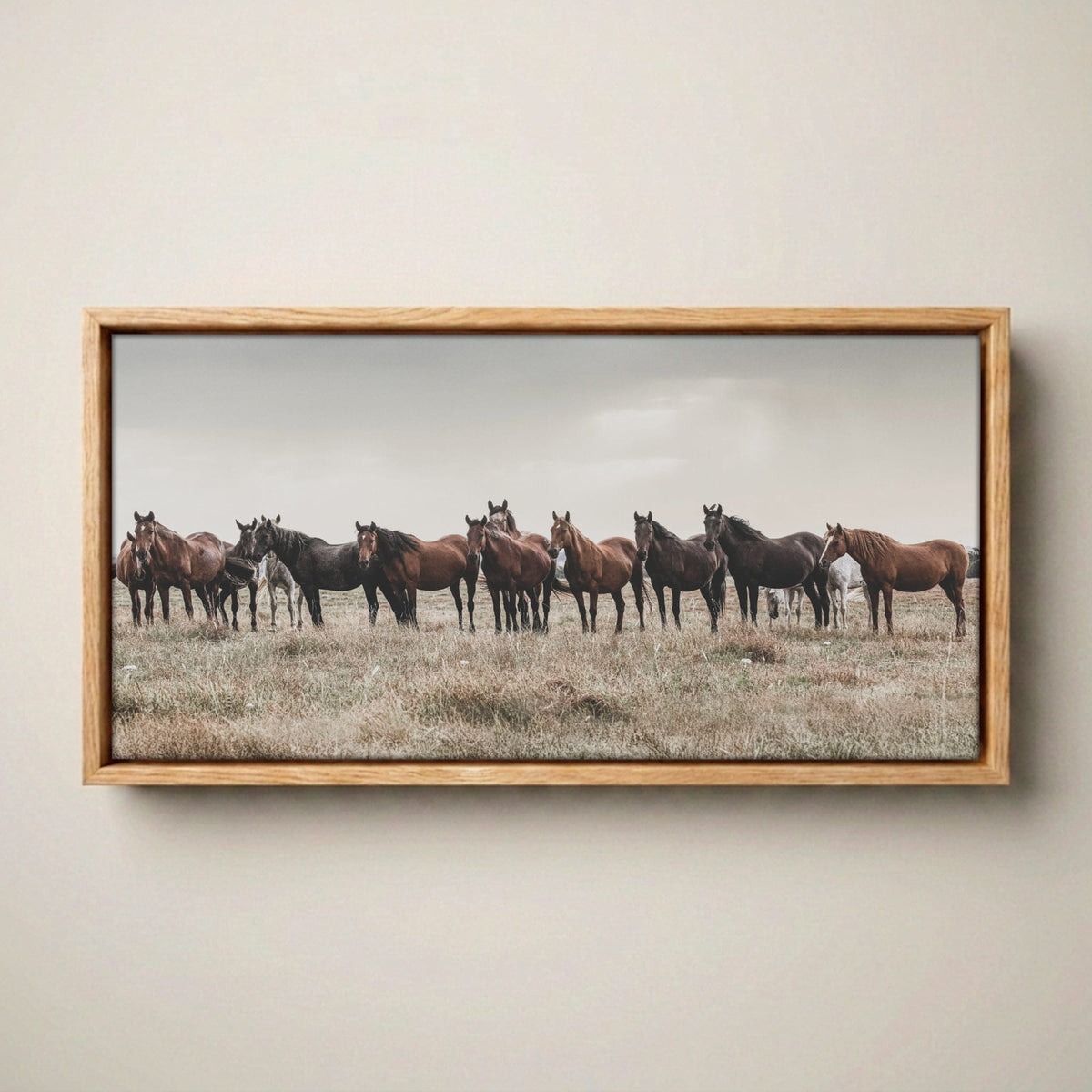 Western Panorama Canvas Print – Wild Horse Wall Art Canvas-Natural Oak Float Frame / 10 x 20 Inches