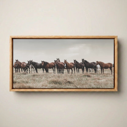 Western Panorama Canvas Print – Wild Horse Wall Art Canvas-Natural Oak Float Frame / 10 x 20 Inches