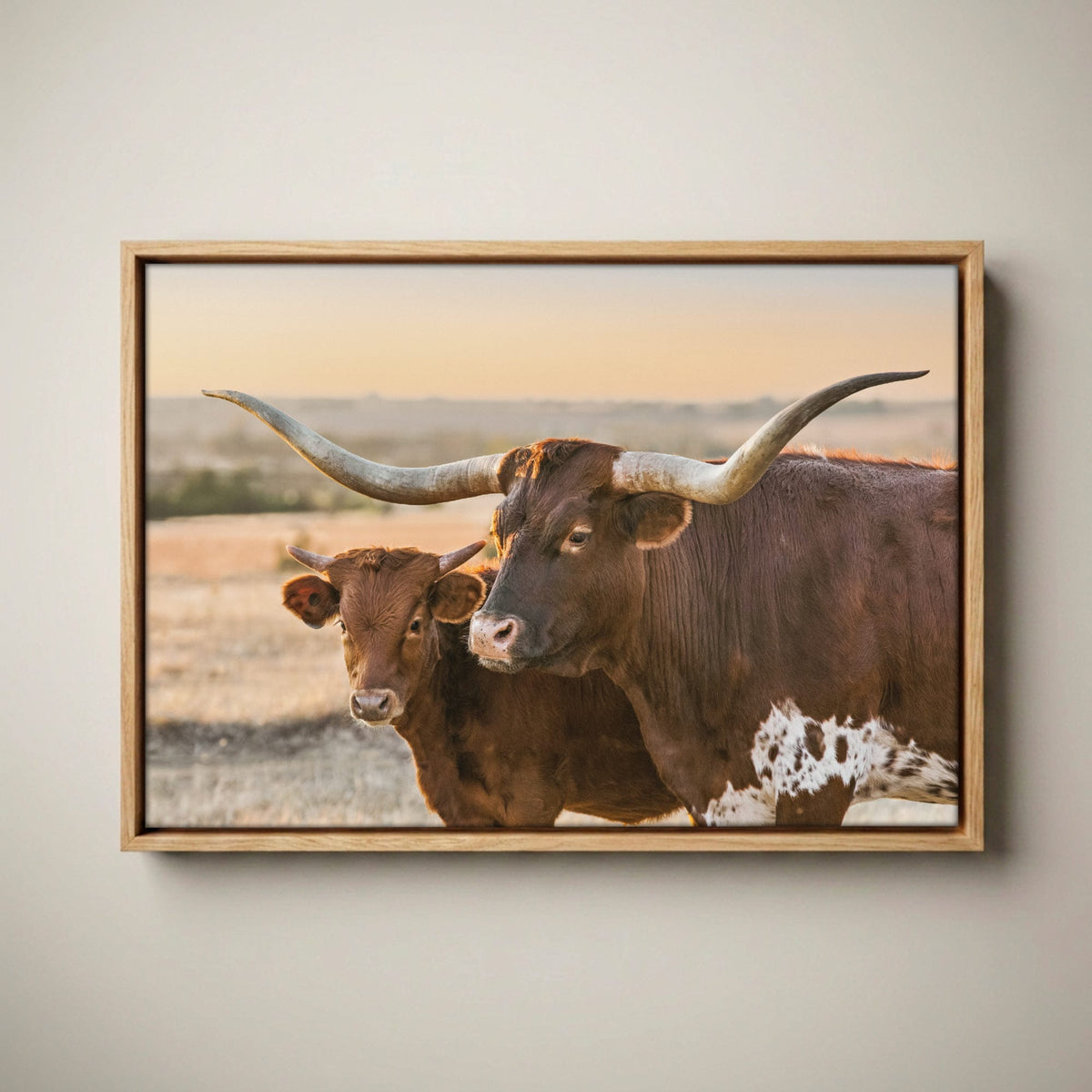 Western Room Decor - Longhorn Cattle Art Canvas-Natural Oak Float Frame / 12 x 18 Inches