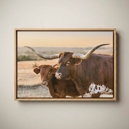 Western Room Decor - Longhorn Cattle Art Canvas-Natural Oak Float Frame / 12 x 18 Inches