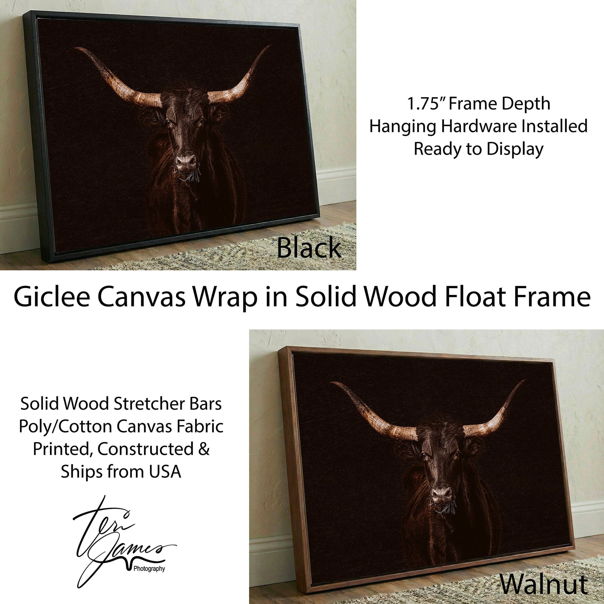 Western Wall Art - Dramatic Black Longhorn Canvas Print - Rustic Cowboy Decor Canvas-Black Frame / 12 x 18 Inches Wall Art Teri James Photography