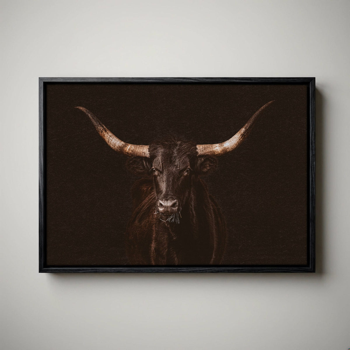 Western Wall Art - Dramatic Black Longhorn Canvas Print
