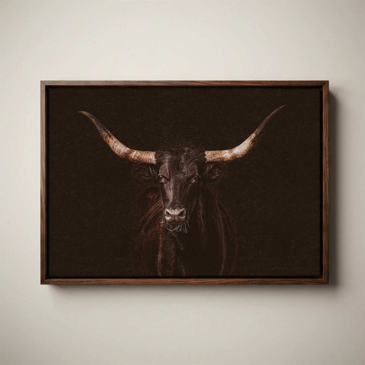 Western Wall Art - Dramatic Black Longhorn Canvas Print
