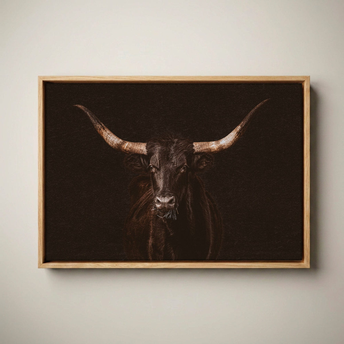 Western Wall Art - Dramatic Black Longhorn Canvas Print Canvas-Natural Oak Float Frame / 12 x 18 Inches
