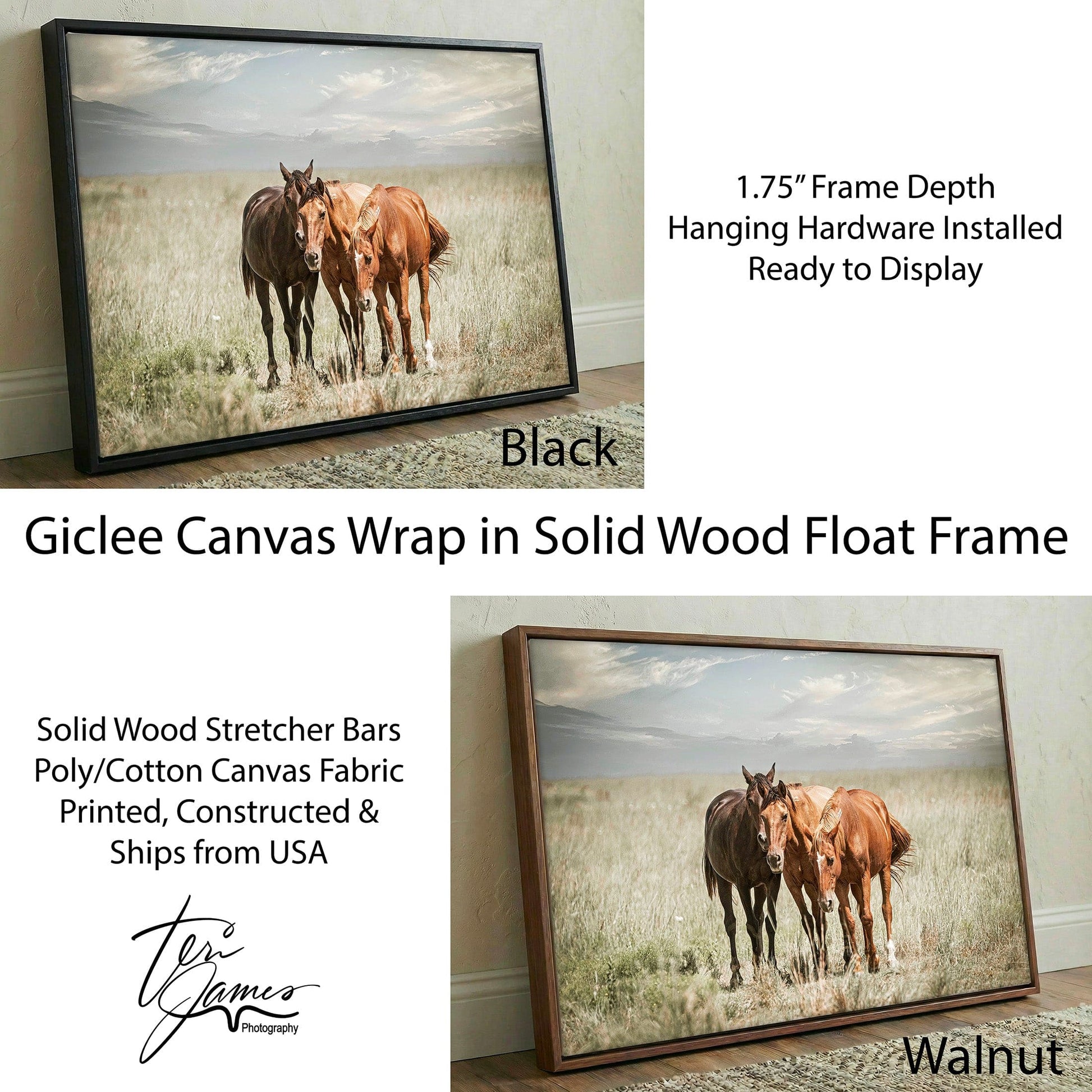 Western Wall Art Featuring Wild Horses Canvas – Rustic Horse Artwork From Osage County Canvas-Black Frame / 12 x 18 Inches Wall Art Teri James Photography