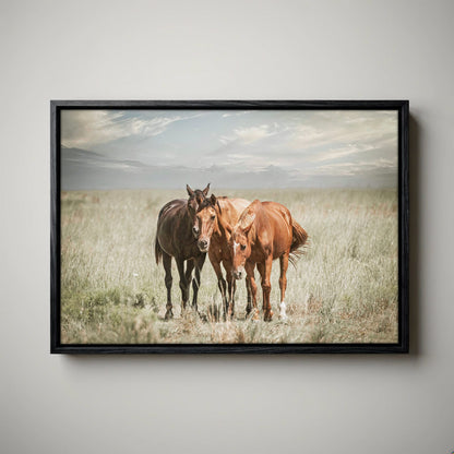 Western Wall Art - Wild Horses Canvas