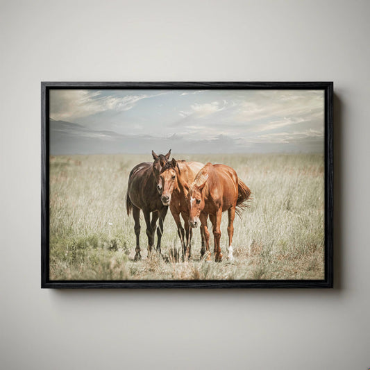 Western Wall Art - Wild Horses Canvas