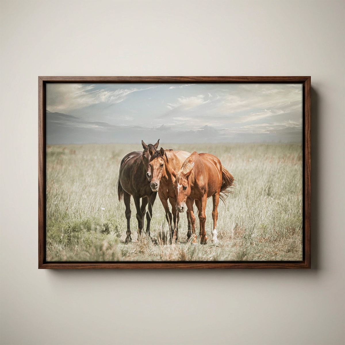Western Wall Art - Wild Horses Canvas