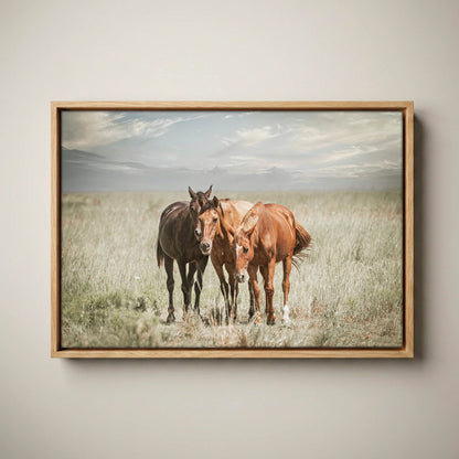 Western Wall Art - Wild Horses Canvas Canvas-Natural Oak Float Frame / 12 x 18 Inches