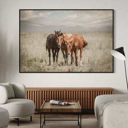 Western Wall Art Wild Horses on the Osage Wall Art Teri James Photography