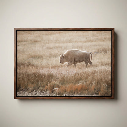 White Bison Canvas Print - Rustic Cabin Decor