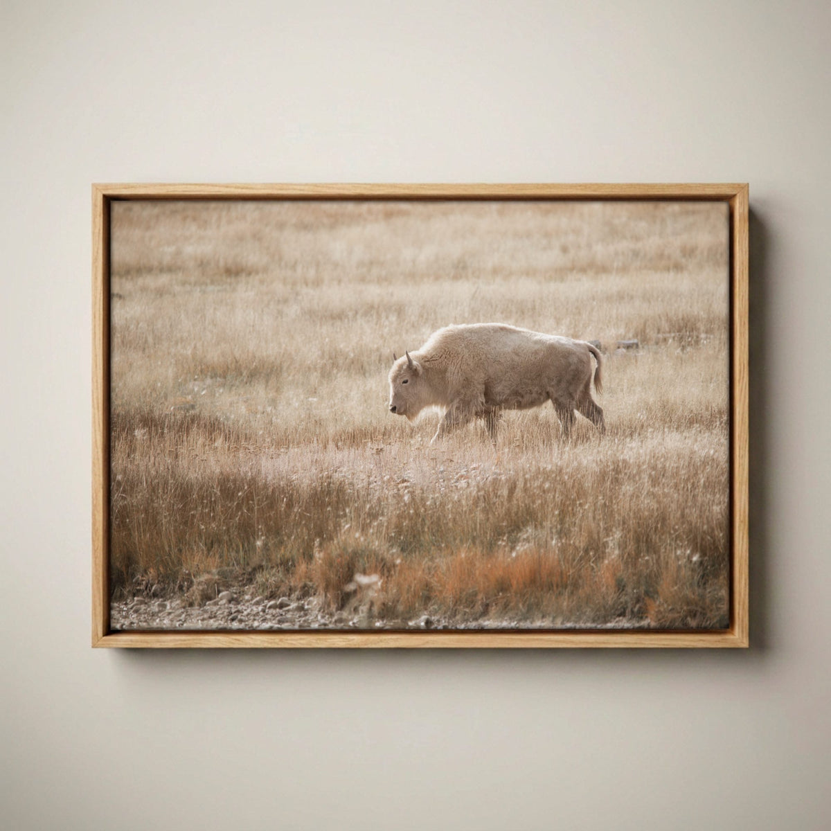 White Bison Canvas Print - Rustic Cabin Decor Canvas-Natural Oak Float Frame / 12 x 18 Inches