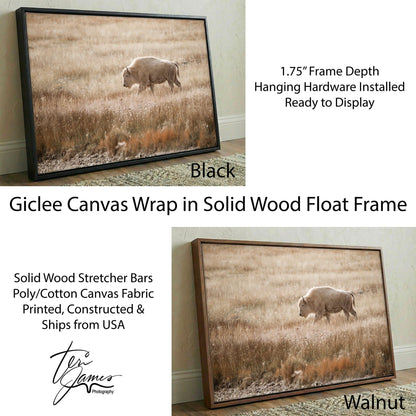 White Bison Canvas Print - Rustic Cabin Decor With Premium Wildlife Art Piece Canvas-Black Frame / 12 x 18 Inches Wall Art Teri James Photography