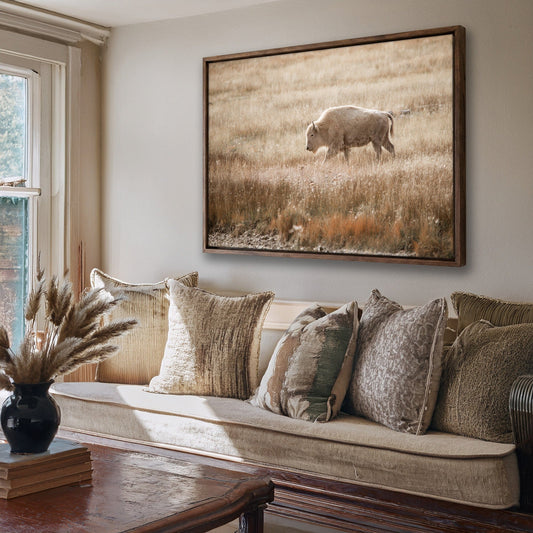 White Bison Canvas Print Wall Art Teri James Photography