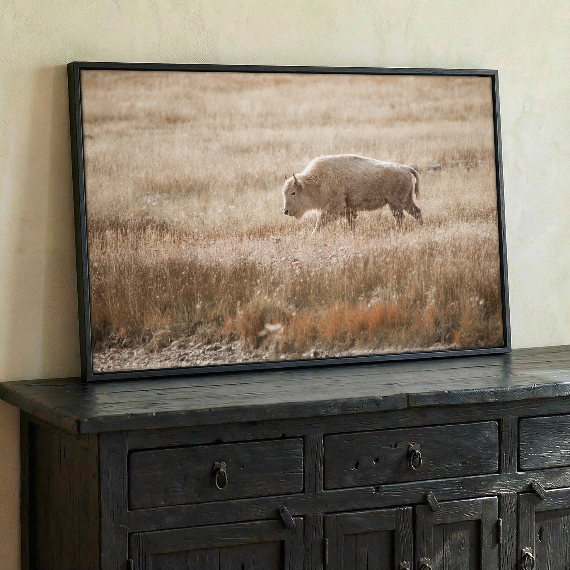 White Bison Canvas Print Wall Art Teri James Photography