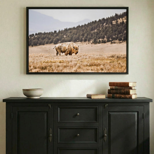 White Buffalo Art – Buffalo Canvas Print | Wildlife Wall Decor Wall Art Teri James Photography