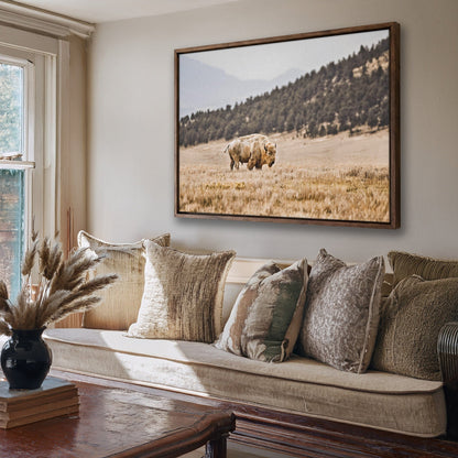 White Buffalo Art Wall Art Teri James Photography
