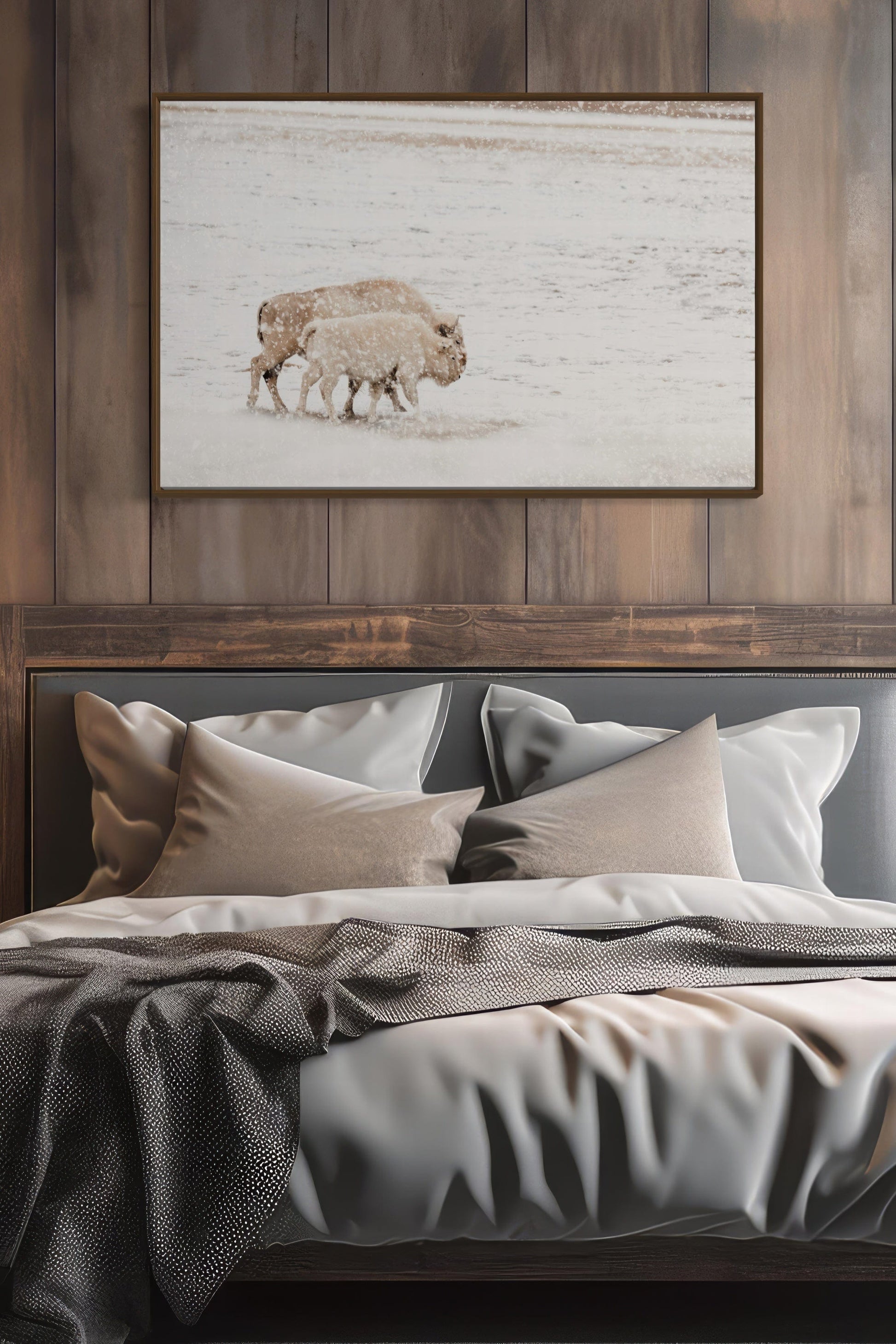 White Buffalo Cow and Calf Wall Art Teri James Photography