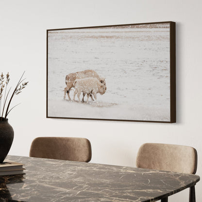 White Buffalo Cow and Calf Wall Art Teri James Photography