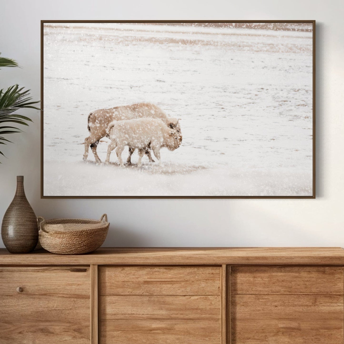 White Buffalo Cow and Calf Wall Art Teri James Photography