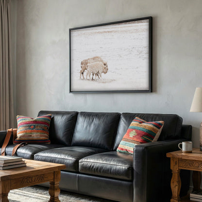 White Buffalo Cow and Calf Wall Art Teri James Photography