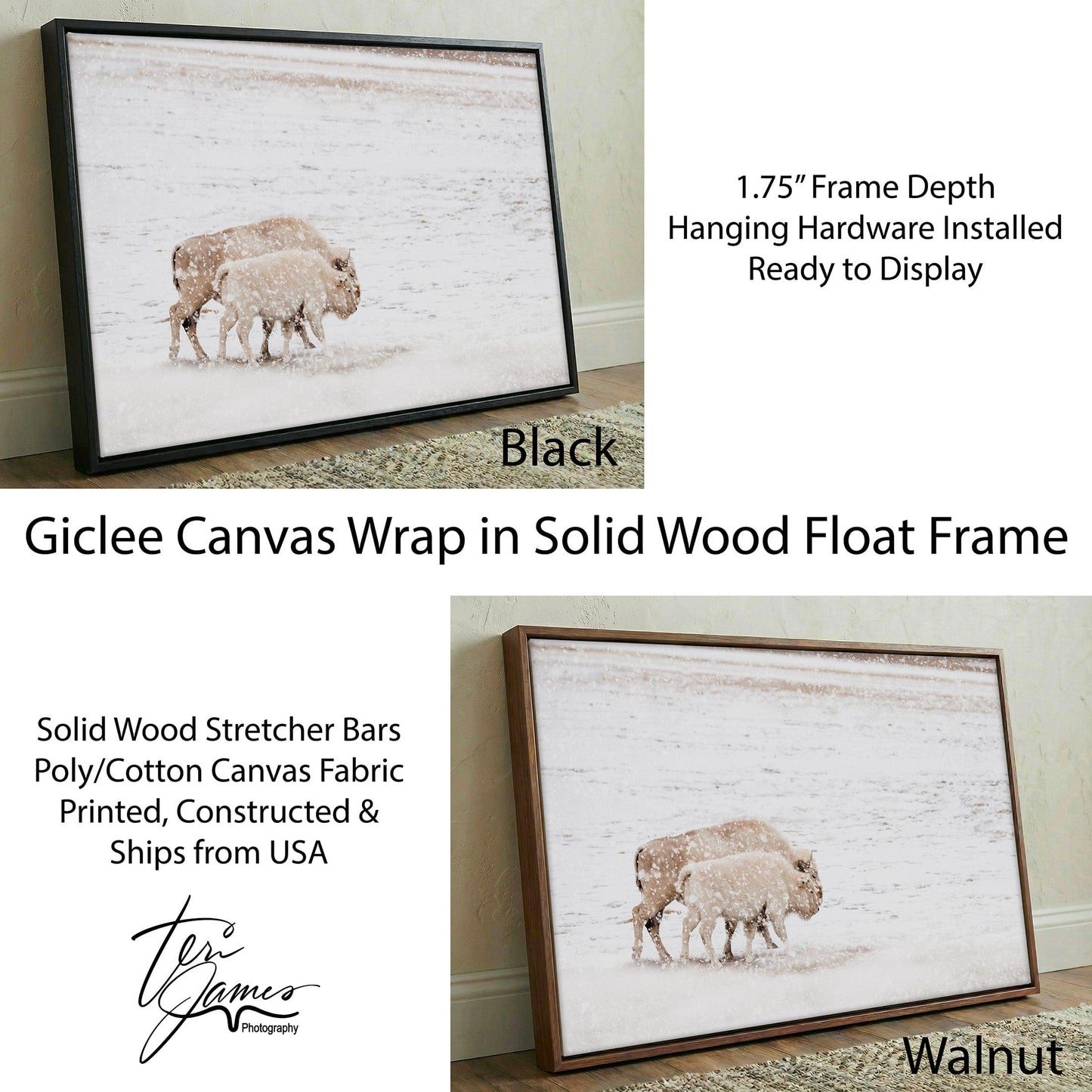 White Buffalo Wall Art - Buffalo Canvas Print With Cow and Calf Wildlife Decor Canvas-Black Frame / 12 x 18 Inches Wall Art Teri James Photography